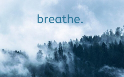 Anxiety Coach Tip #1: Breathe