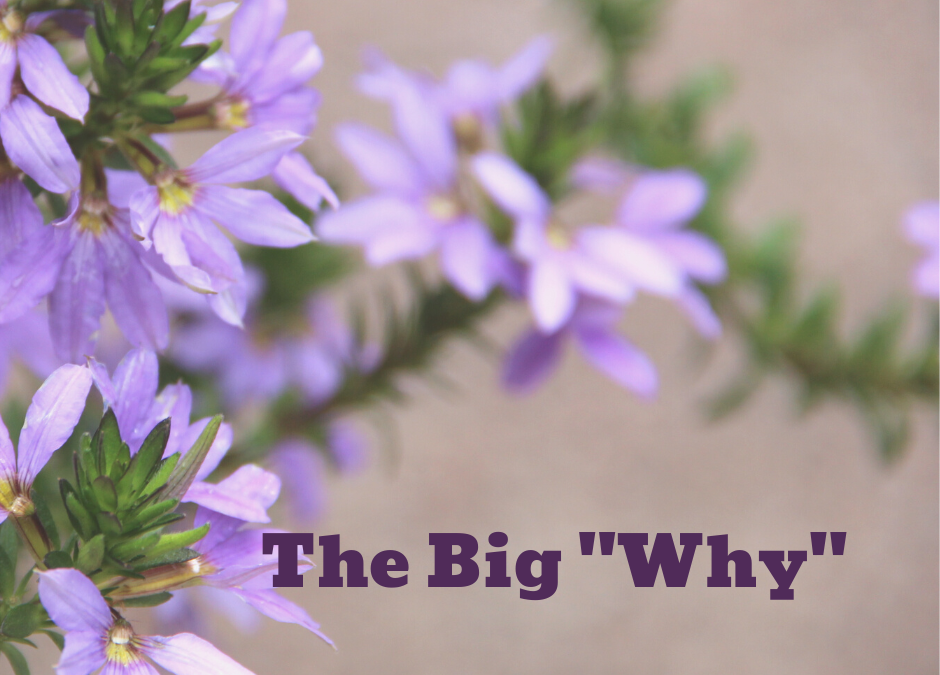 The Big “Why”